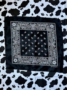 Black Paisley Bandana | 100%
Cotton 🖤